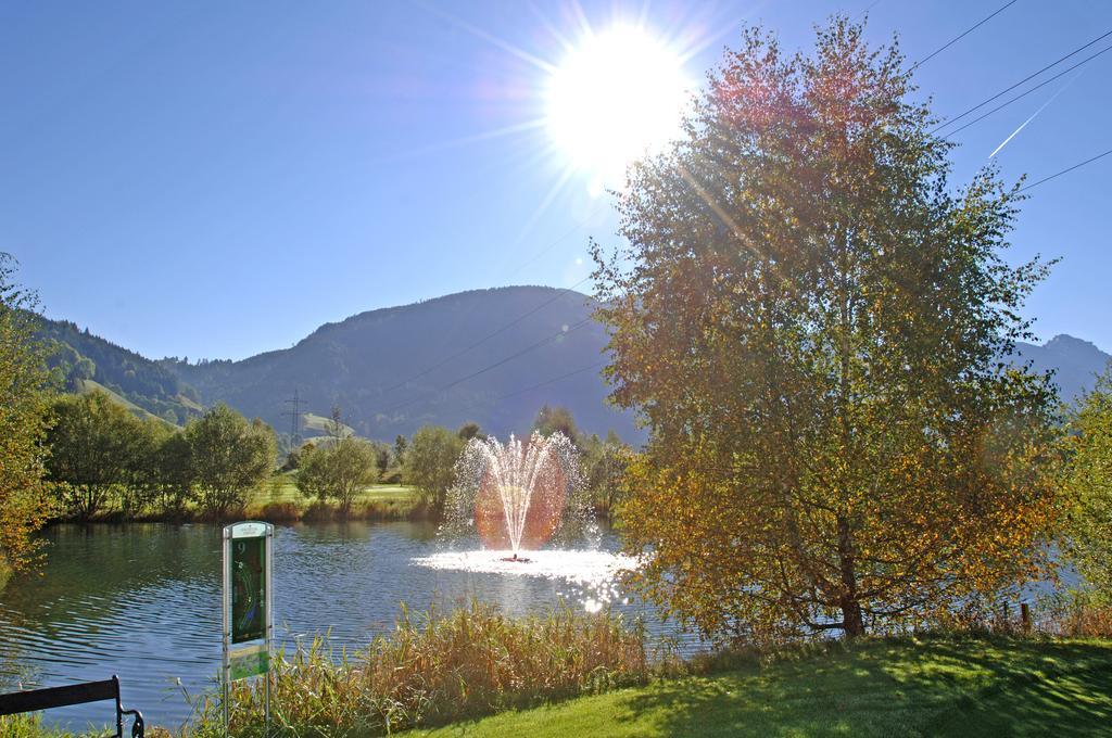 Haus Koessler Hotel Radstadt Ngoại thất bức ảnh